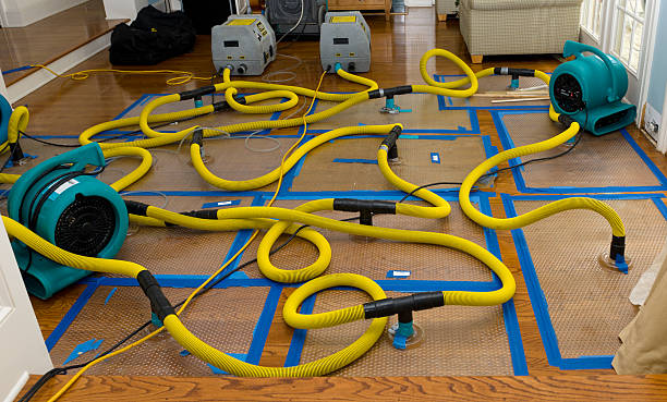 Professional Water Damage Restoration technician working in Marion, IN